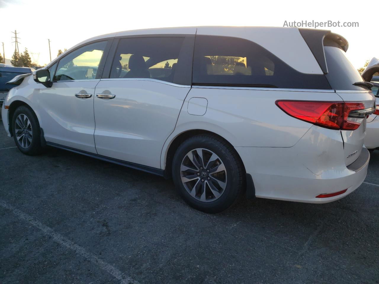 2021 Honda Odyssey Exl Белый vin: 5FNRL6H79MB043486