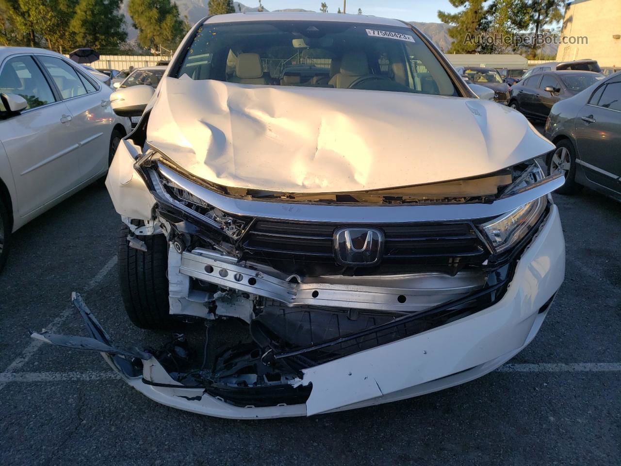 2021 Honda Odyssey Exl White vin: 5FNRL6H79MB043486