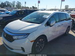 2021 Honda Odyssey Ex-l White vin: 5FNRL6H79MB043486