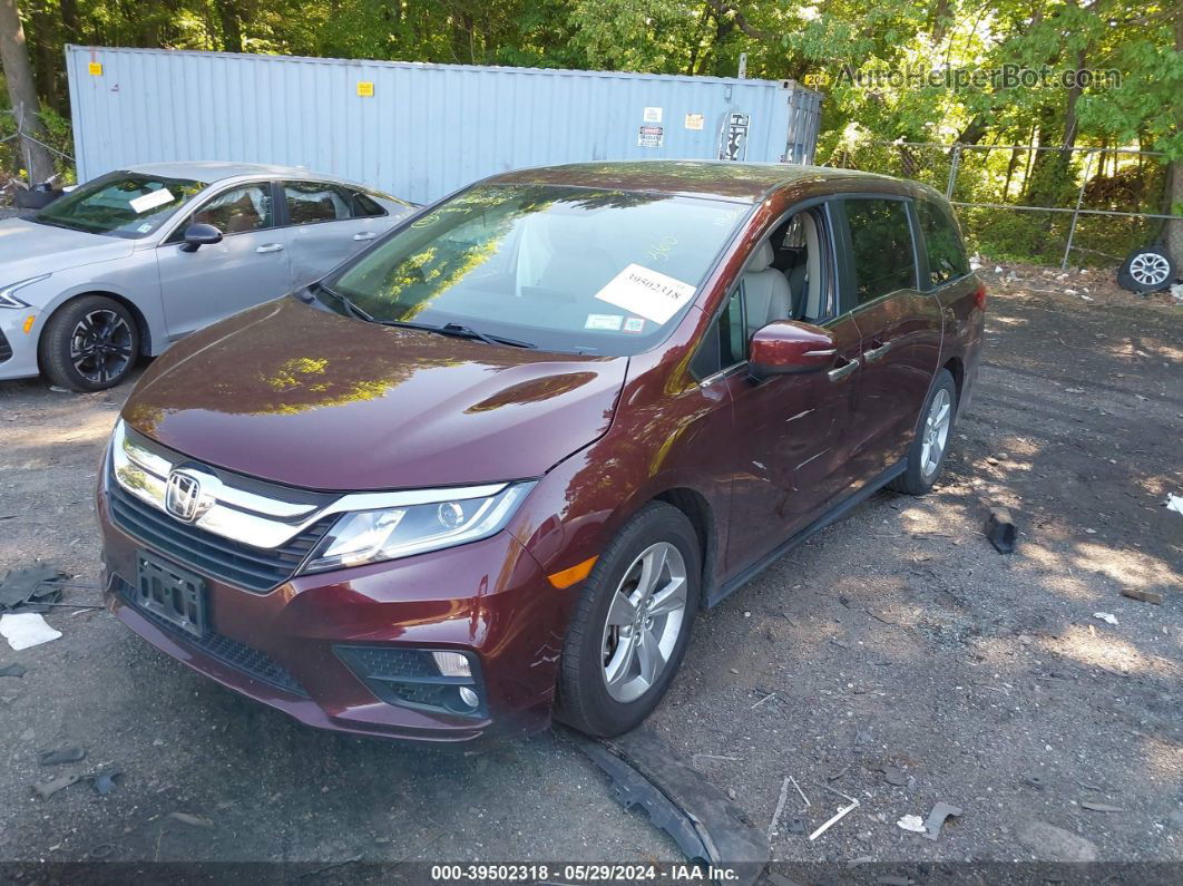 2019 Honda Odyssey Ex-l Red vin: 5FNRL6H7XKB025978