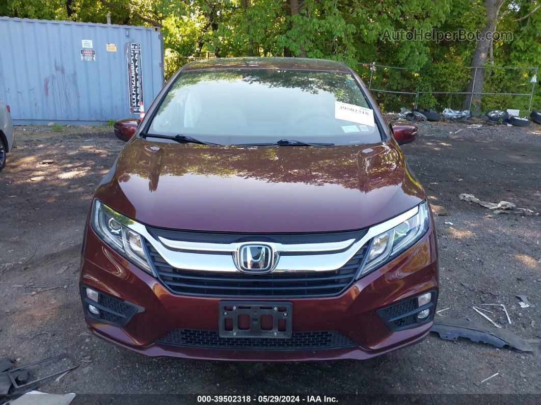 2019 Honda Odyssey Ex-l Red vin: 5FNRL6H7XKB025978