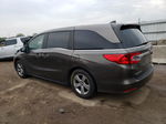 2019 Honda Odyssey Exl Gray vin: 5FNRL6H7XKB062934