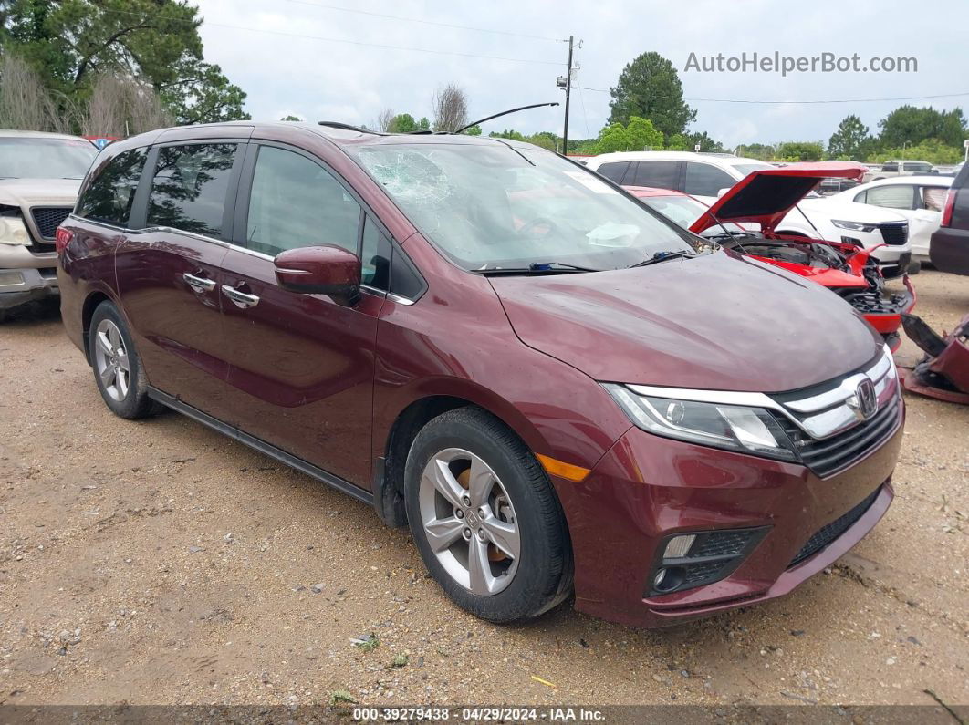 2019 Honda Odyssey Ex-l Maroon vin: 5FNRL6H7XKB070791