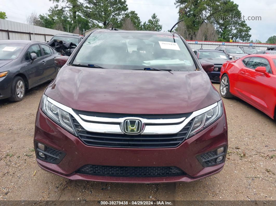 2019 Honda Odyssey Ex-l Maroon vin: 5FNRL6H7XKB070791