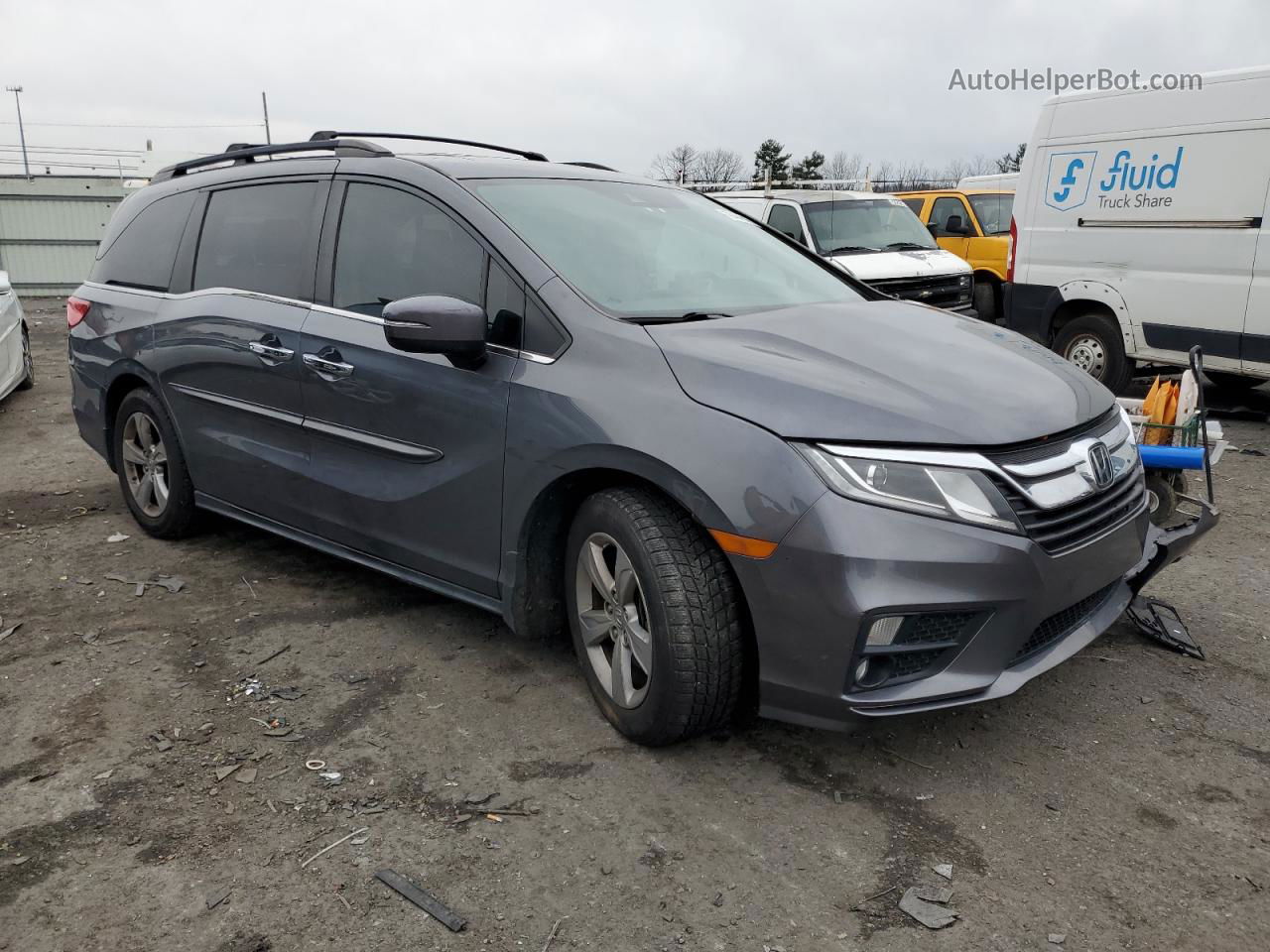 2019 Honda Odyssey Exl Gray vin: 5FNRL6H7XKB094198