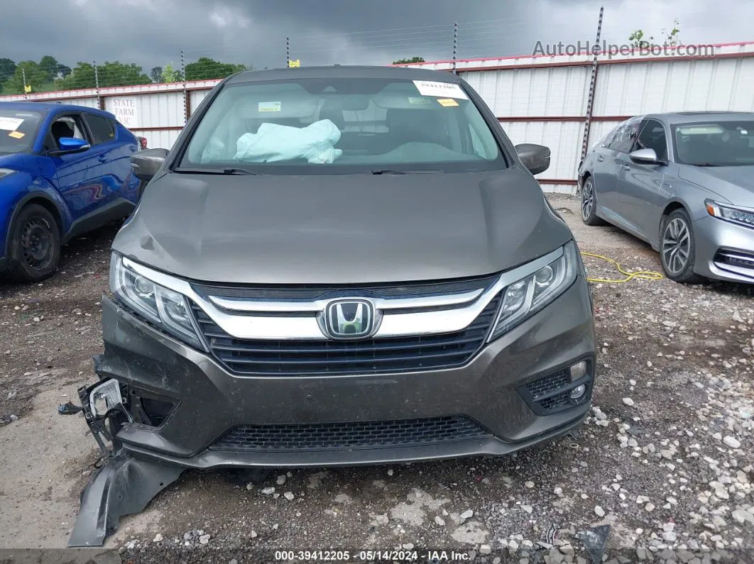 2019 Honda Odyssey Ex-l Brown vin: 5FNRL6H7XKB097229