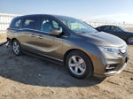 2019 Honda Odyssey Exl Gray vin: 5FNRL6H7XKB099367