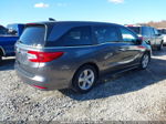 2020 Honda Odyssey   Gray vin: 5FNRL6H7XLB066788