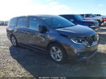 2020 Honda Odyssey   Gray vin: 5FNRL6H7XLB066788