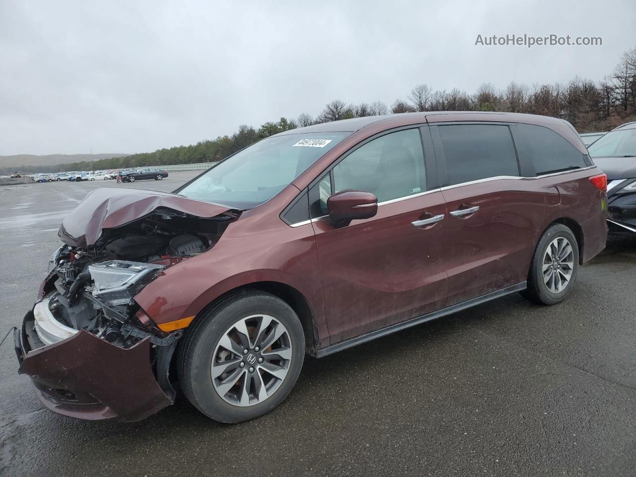 2021 Honda Odyssey Exl Maroon vin: 5FNRL6H7XMB002722