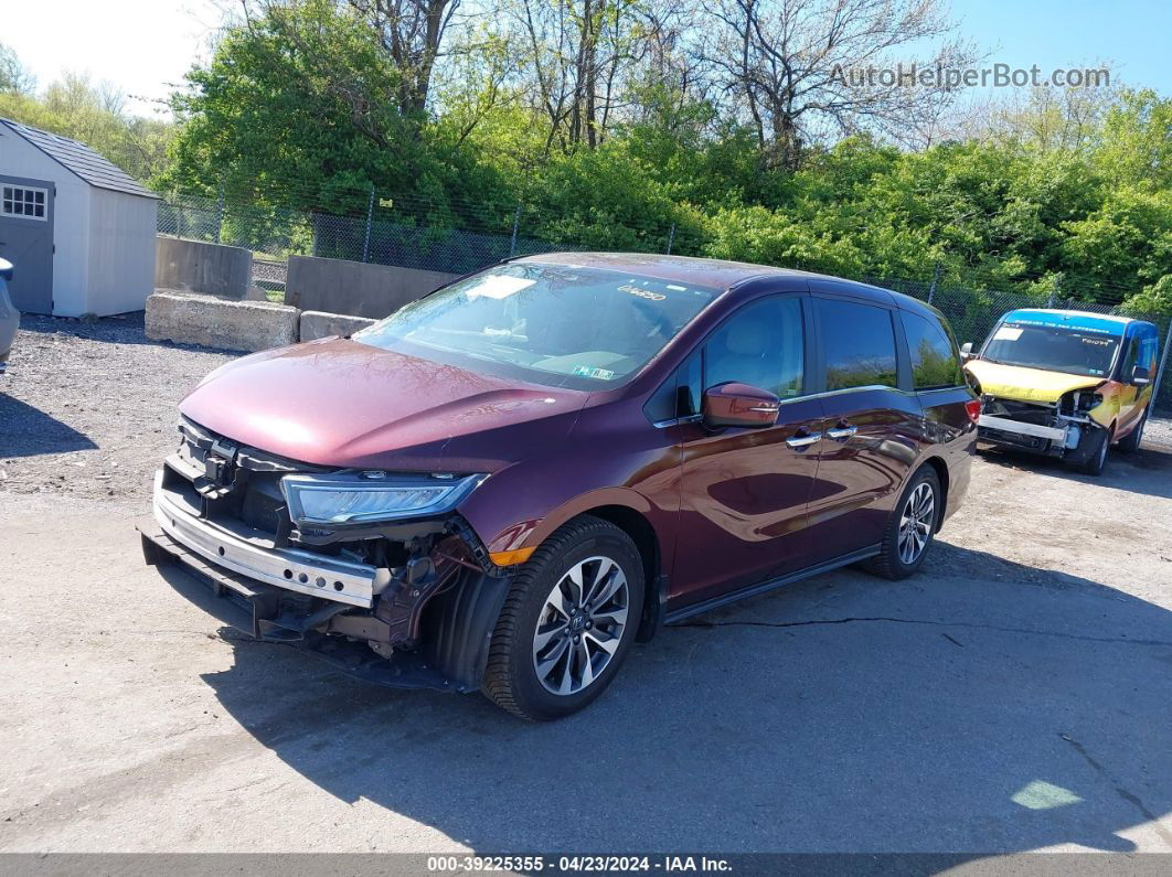 2021 Honda Odyssey Ex-l Burgundy vin: 5FNRL6H7XMB016250