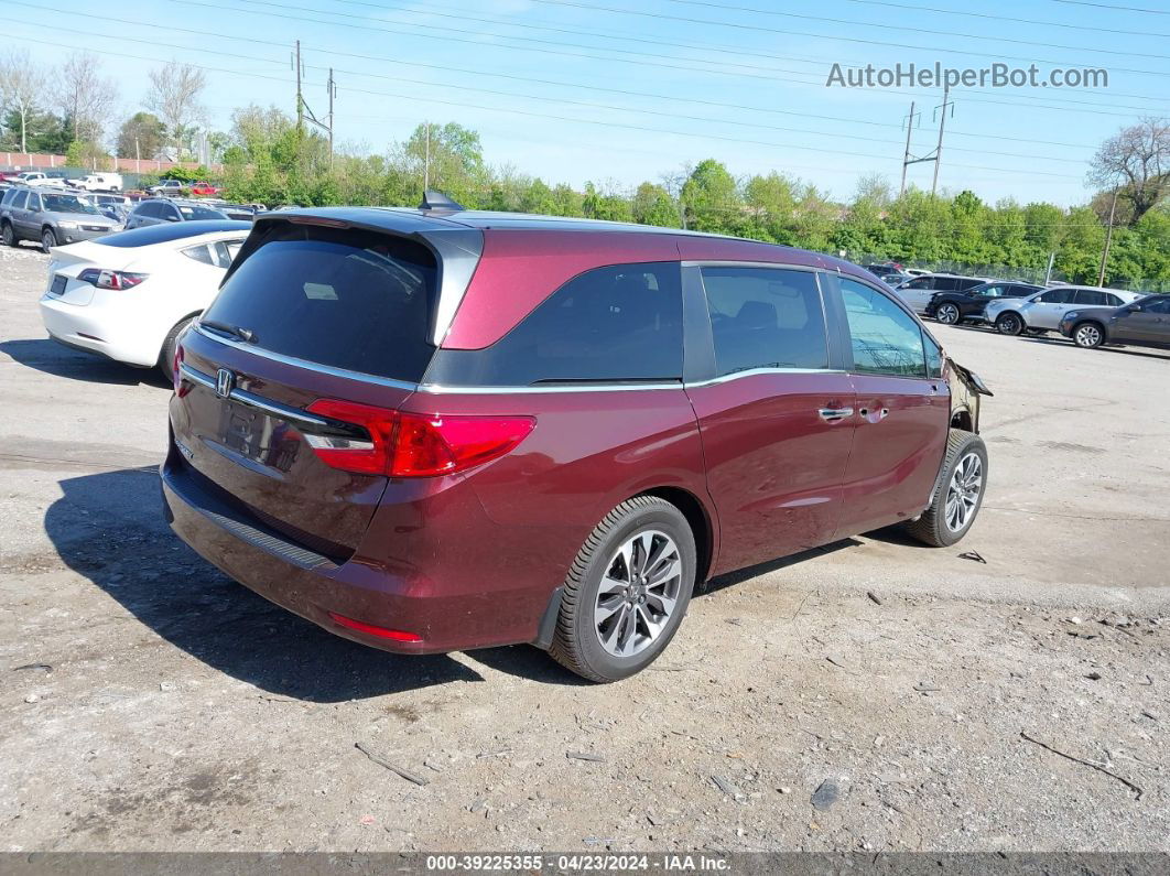 2021 Honda Odyssey Ex-l Burgundy vin: 5FNRL6H7XMB016250