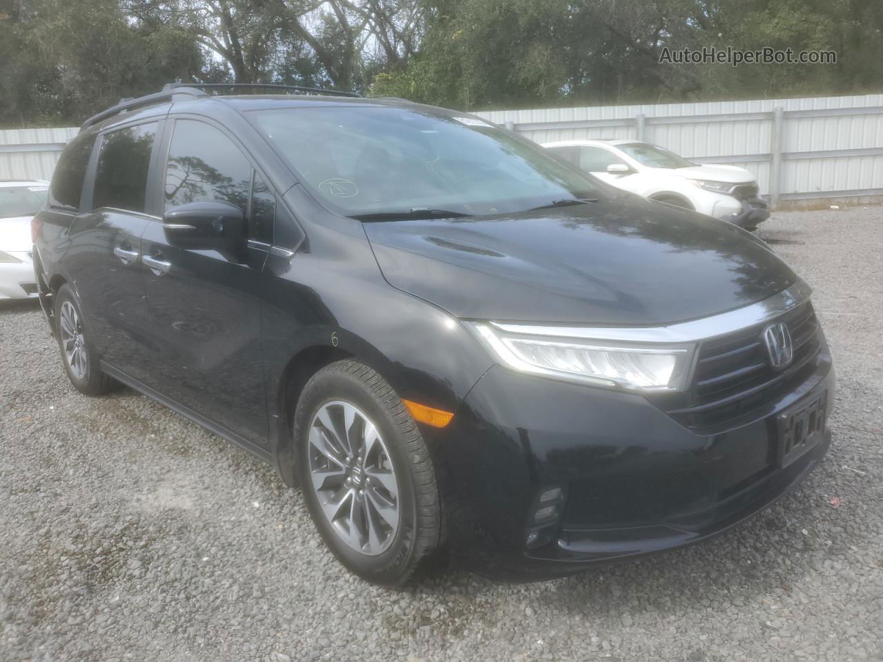 2021 Honda Odyssey Exl Black vin: 5FNRL6H7XMB016748