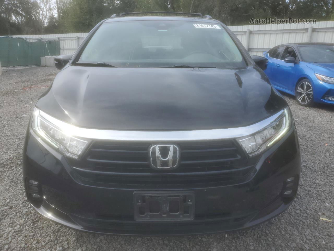 2021 Honda Odyssey Exl Black vin: 5FNRL6H7XMB016748