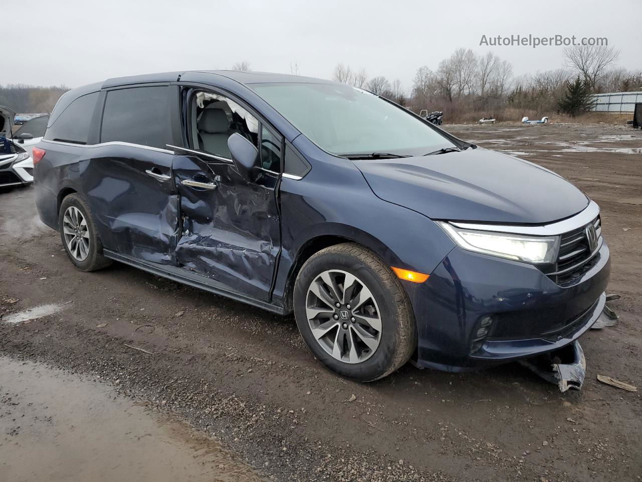 2021 Honda Odyssey Exl Синий vin: 5FNRL6H7XMB024672