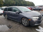 2021 Honda Odyssey Touring Gray vin: 5FNRL6H80MB030411