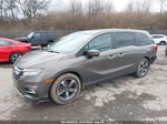 2019 Honda Odyssey Touring Dark Brown vin: 5FNRL6H81KB098407