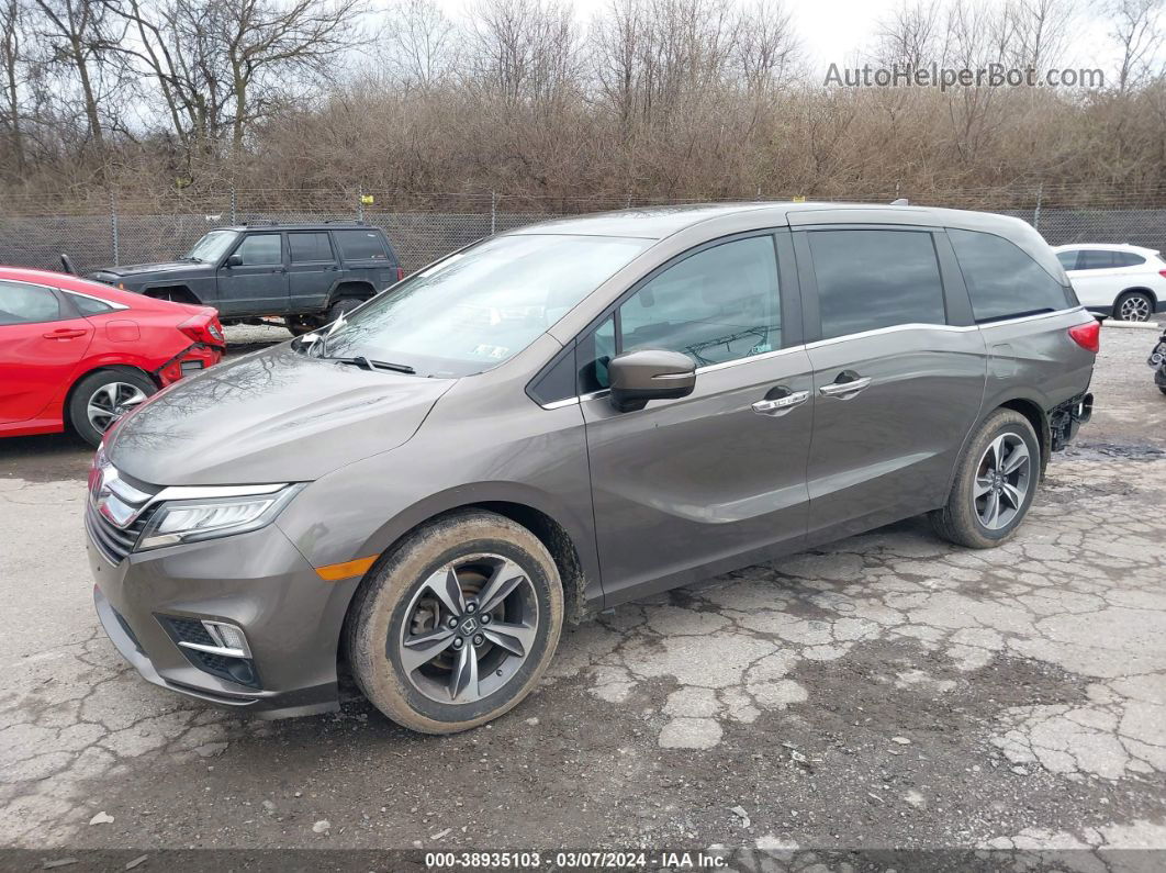 2019 Honda Odyssey Touring Dark Brown vin: 5FNRL6H81KB098407