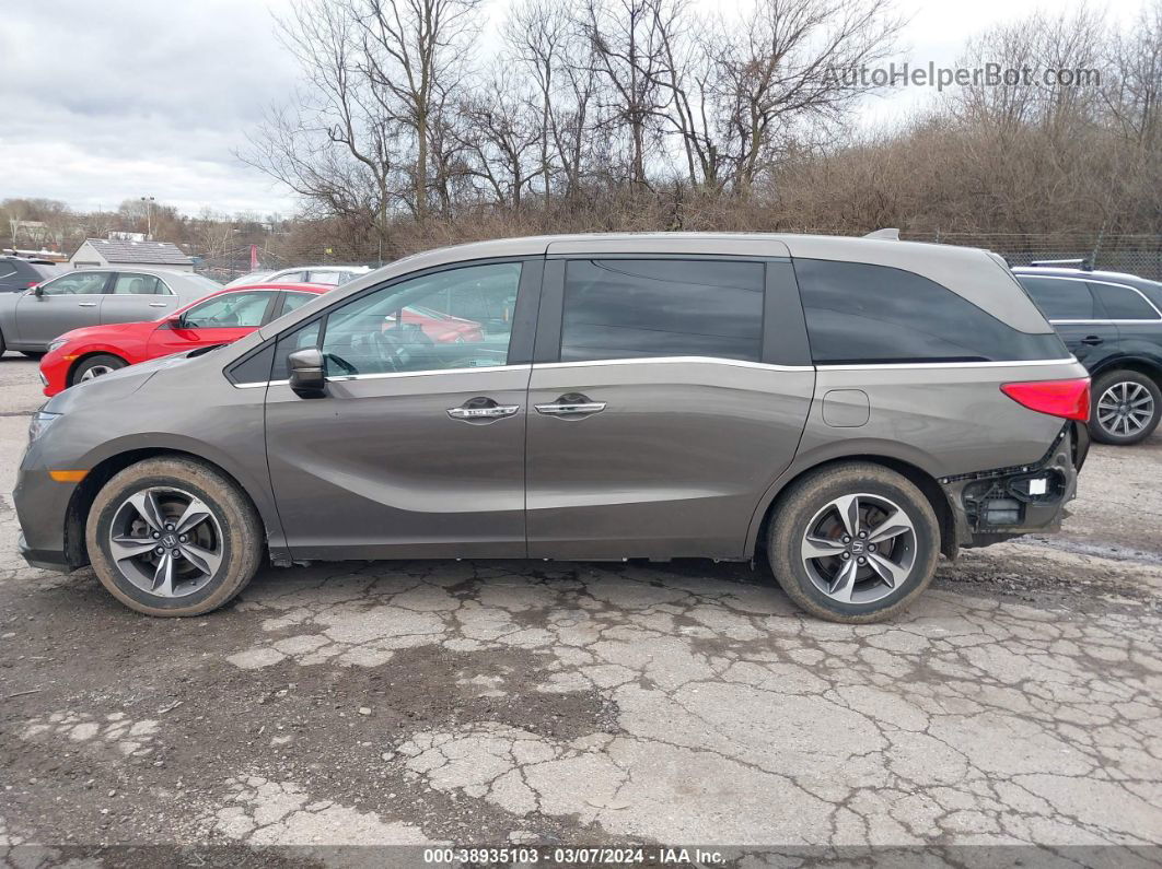 2019 Honda Odyssey Touring Dark Brown vin: 5FNRL6H81KB098407