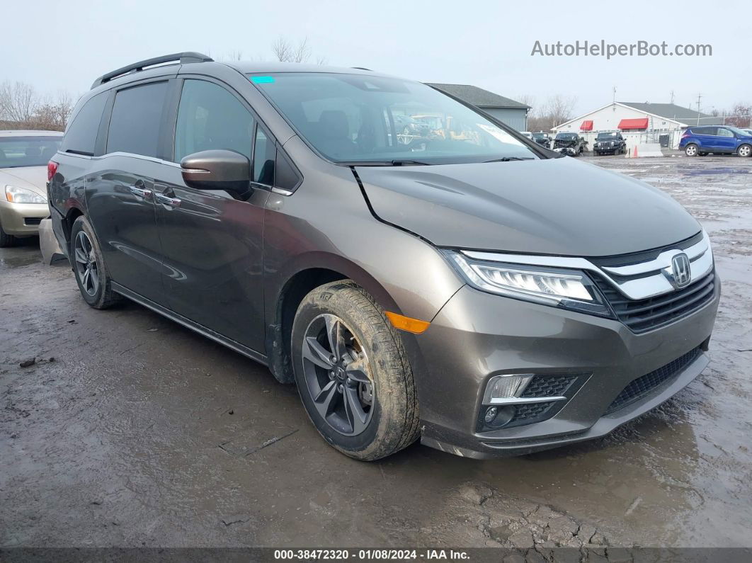 2020 Honda Odyssey Touring Brown vin: 5FNRL6H81LB040153