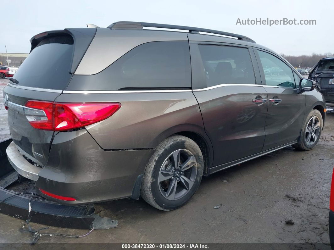 2020 Honda Odyssey Touring Brown vin: 5FNRL6H81LB040153