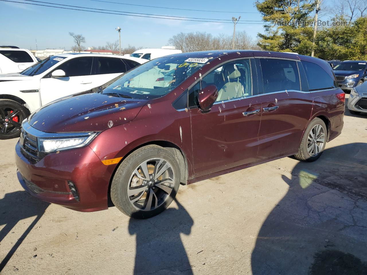 2021 Honda Odyssey Touring Темно-бордовый vin: 5FNRL6H81MB021006