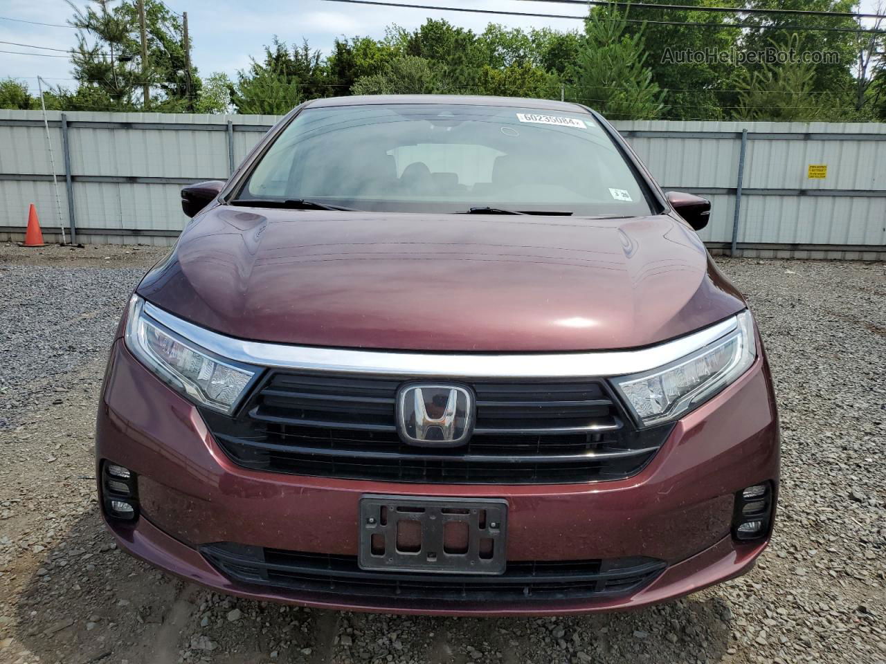 2021 Honda Odyssey Touring Maroon vin: 5FNRL6H82MB014629