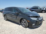 2019 Honda Odyssey Touring Черный vin: 5FNRL6H88KB014969