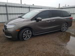 2021 Honda Odyssey Touring Brown vin: 5FNRL6H89MB010464