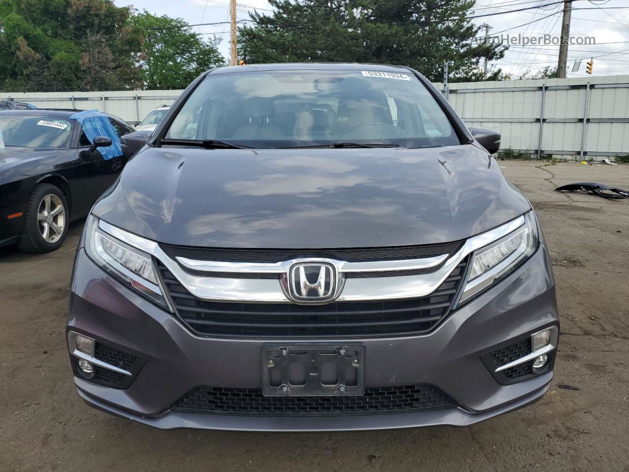 2019 Honda Odyssey Touring Серый vin: 5FNRL6H8XKB019669