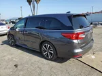 2019 Honda Odyssey Elite Gray vin: 5FNRL6H90KB012786