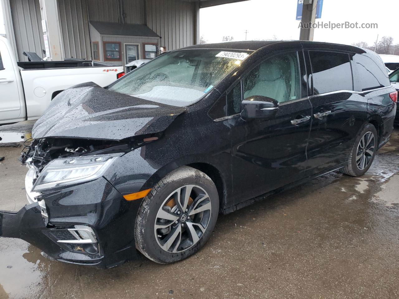 2020 Honda Odyssey Elite Black vin: 5FNRL6H90LB037415