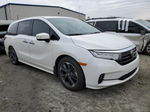 2021 Honda Odyssey Elite White vin: 5FNRL6H90MB000057