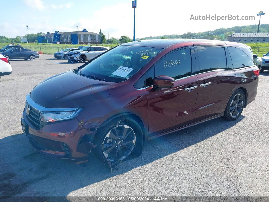 2021 Honda Odyssey Elite Maroon vin: 5FNRL6H90MB007445