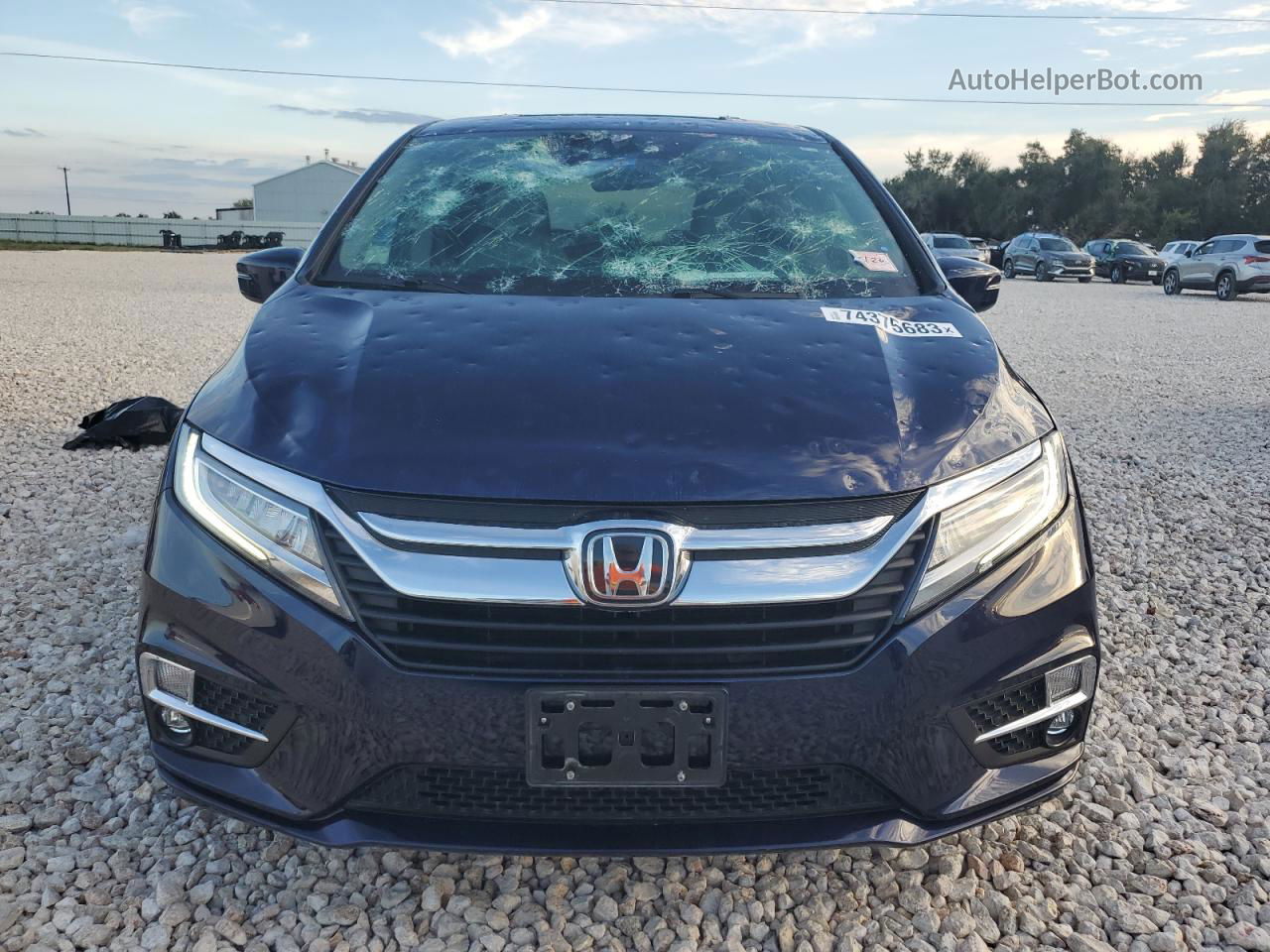 2019 Honda Odyssey Elite Blue vin: 5FNRL6H92KB027872