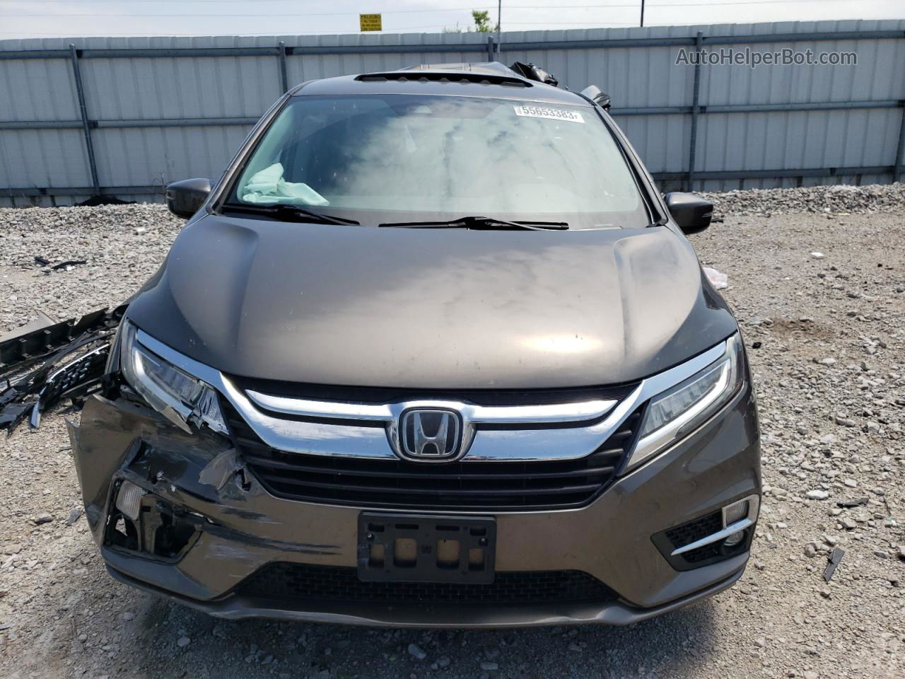 2019 Honda Odyssey Elite Gray vin: 5FNRL6H92KB038841