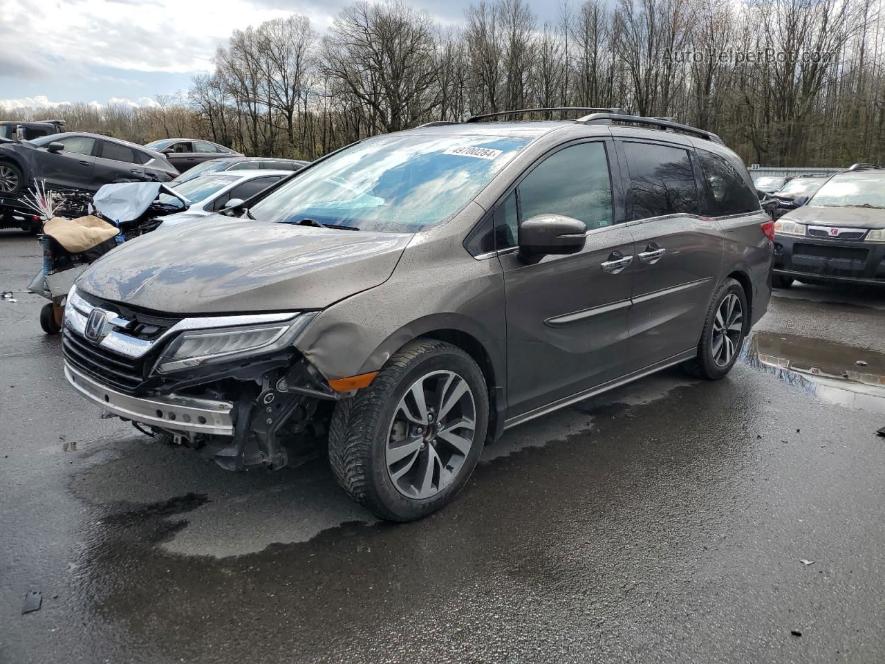 2020 Honda Odyssey Elite Brown vin: 5FNRL6H92LB012595