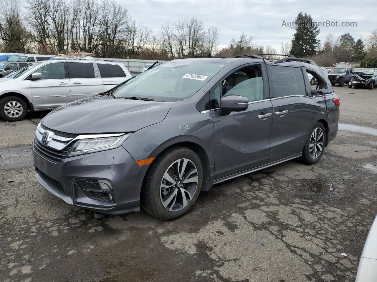 2019 Honda Odyssey Elite Gray vin: 5FNRL6H93KB006643