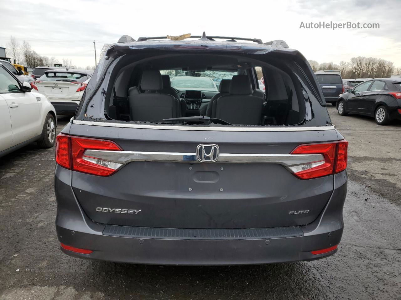 2019 Honda Odyssey Elite Gray vin: 5FNRL6H93KB006643