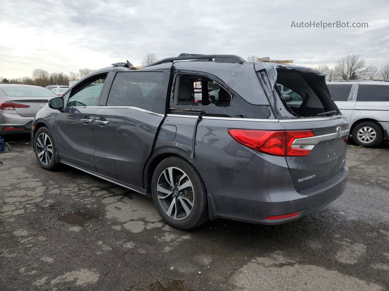 2019 Honda Odyssey Elite Gray vin: 5FNRL6H93KB006643