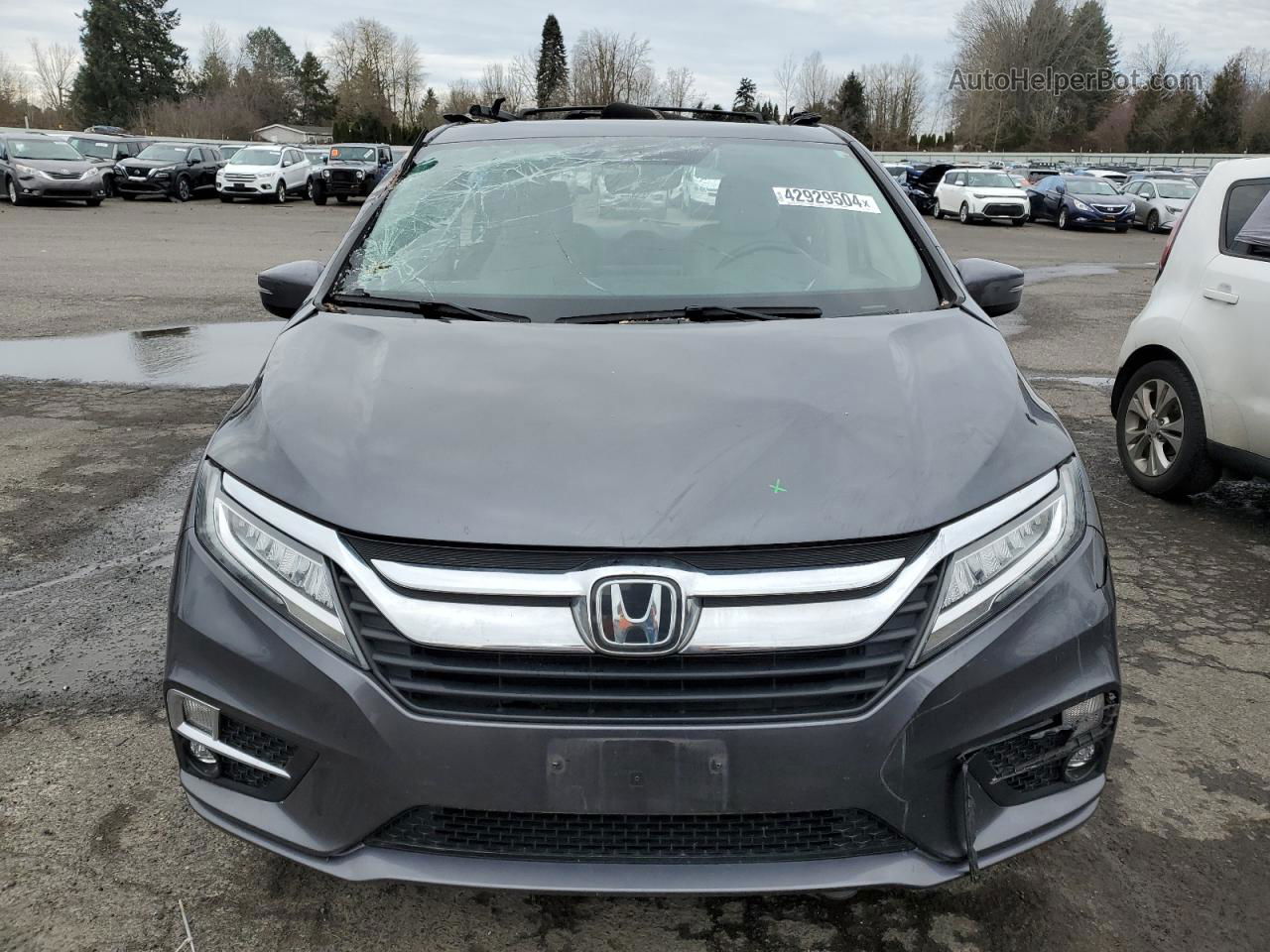 2019 Honda Odyssey Elite Gray vin: 5FNRL6H93KB006643