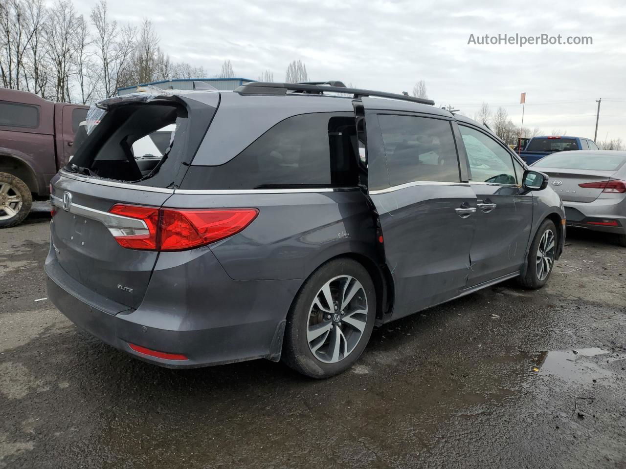 2019 Honda Odyssey Elite Gray vin: 5FNRL6H93KB006643