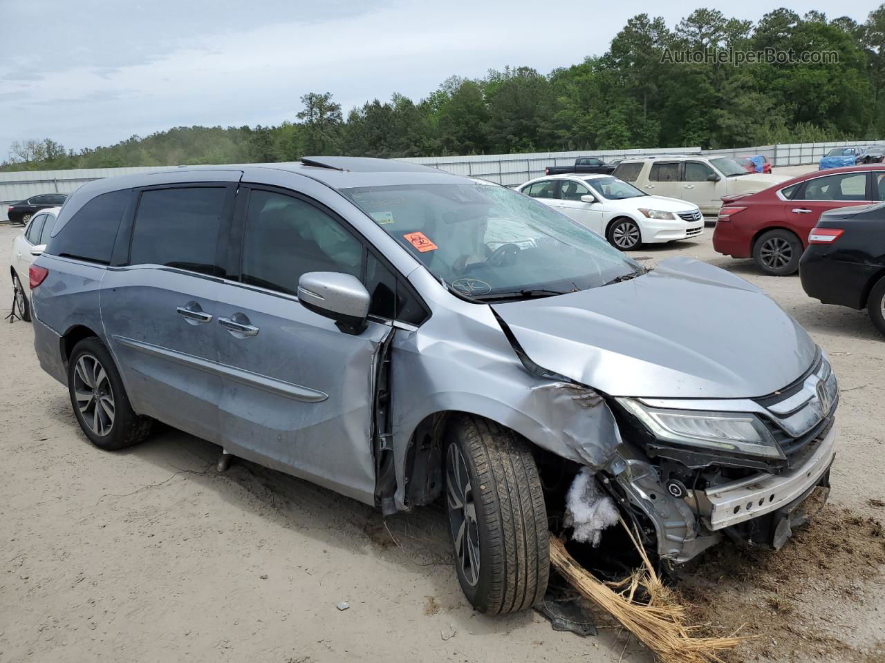 2019 Honda Odyssey Elite Silver vin: 5FNRL6H94KB021555