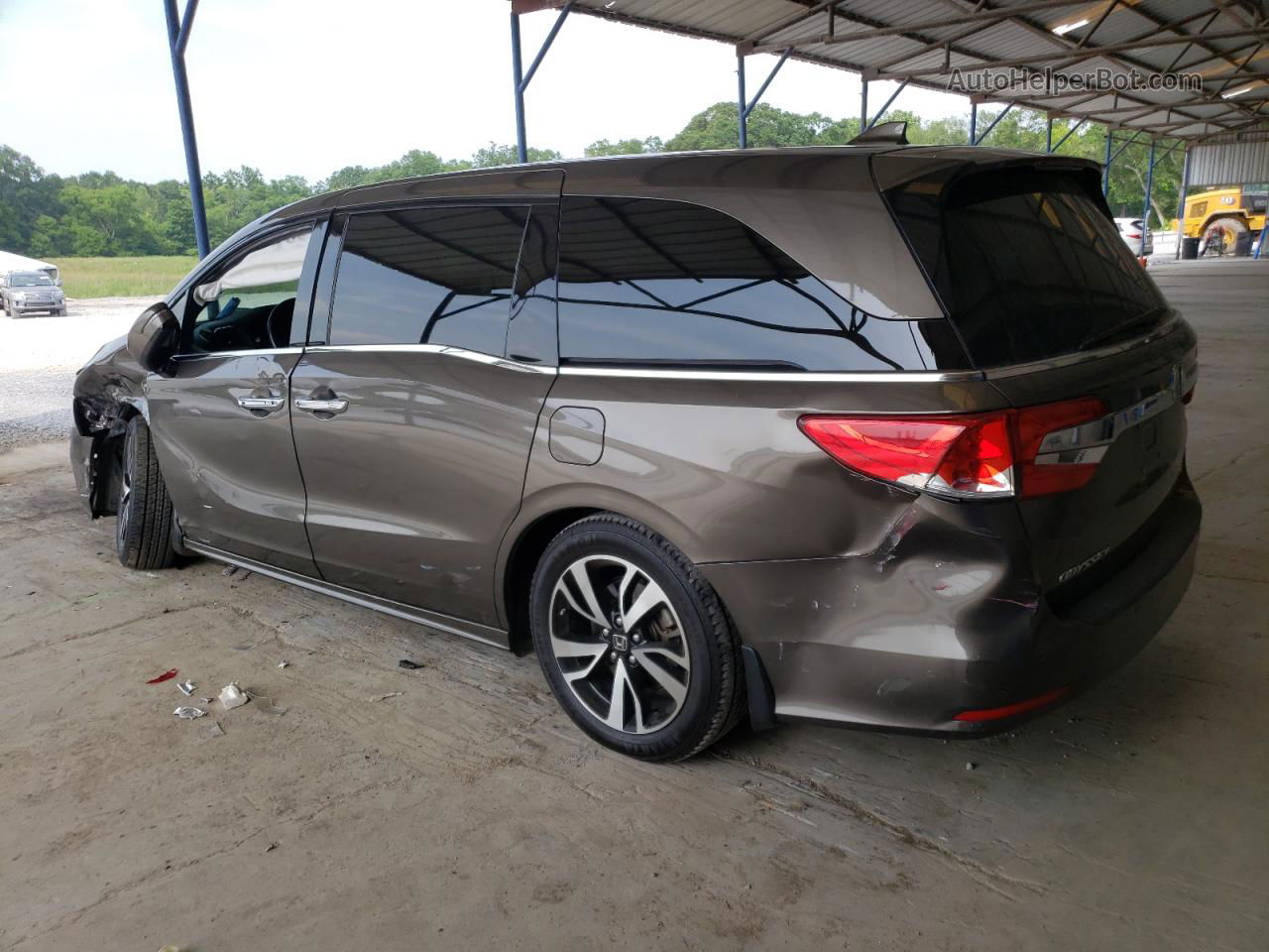 2019 Honda Odyssey Elite Tan vin: 5FNRL6H96KB004854