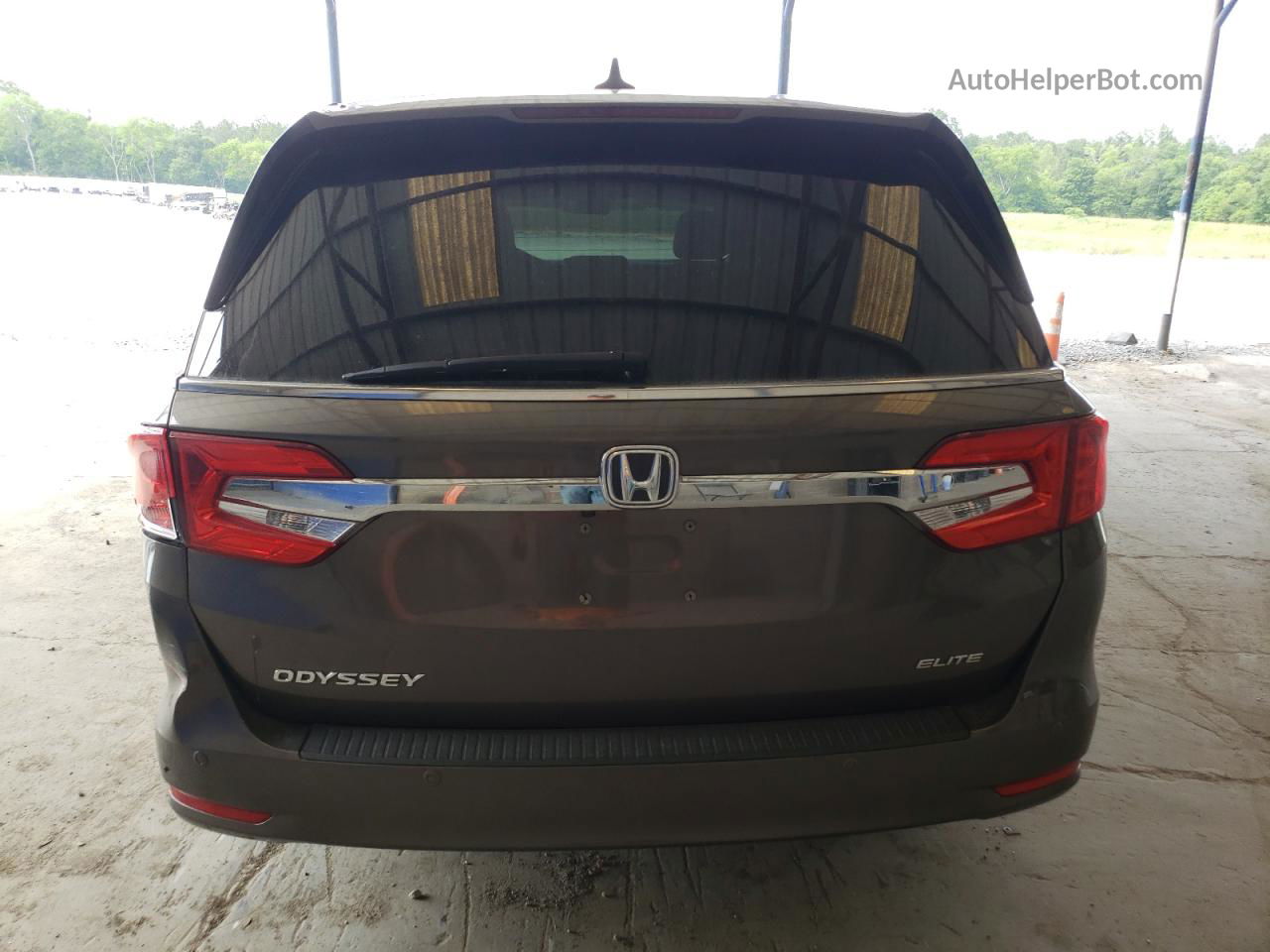 2019 Honda Odyssey Elite Tan vin: 5FNRL6H96KB004854