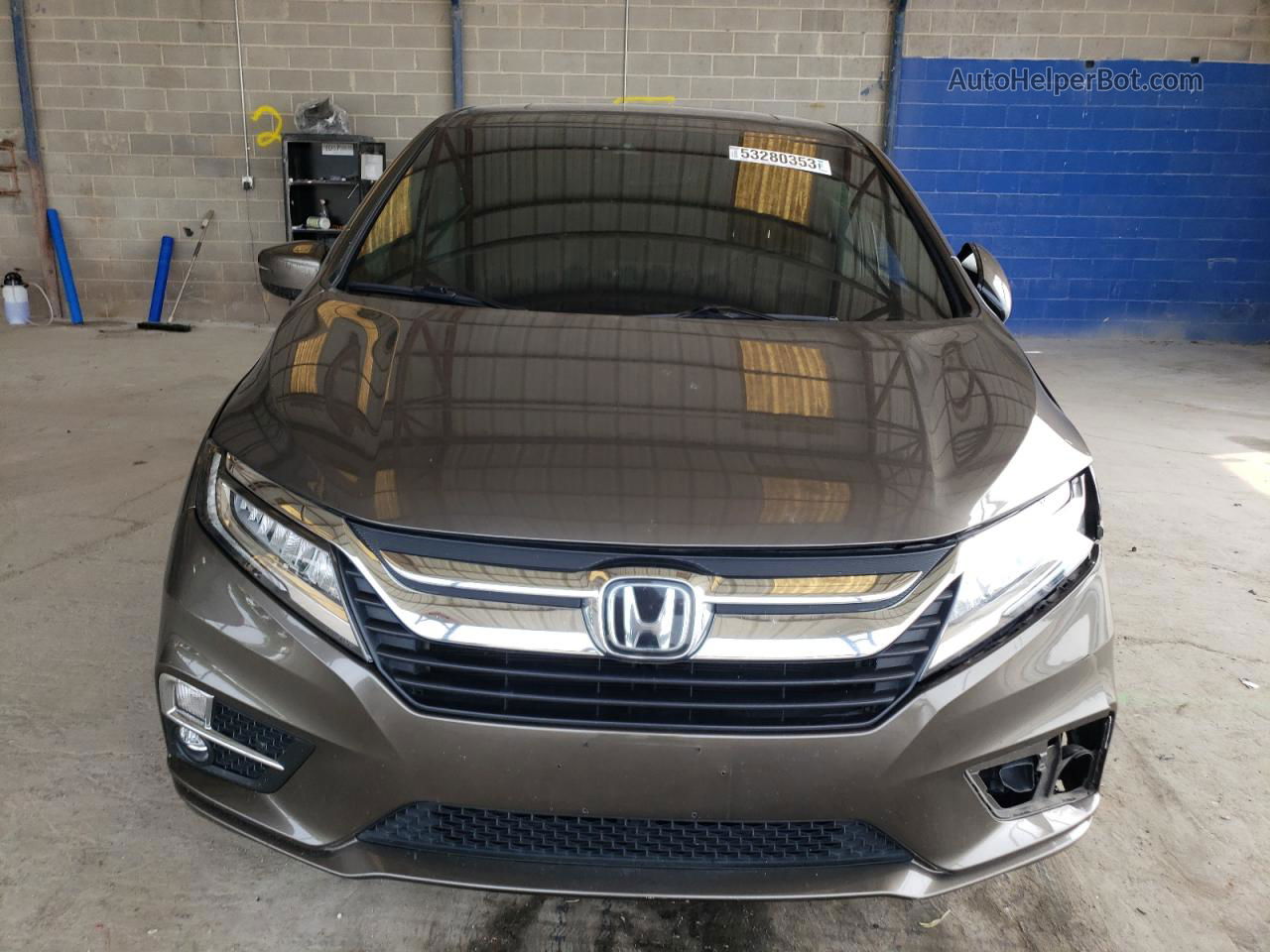 2019 Honda Odyssey Elite Tan vin: 5FNRL6H96KB004854