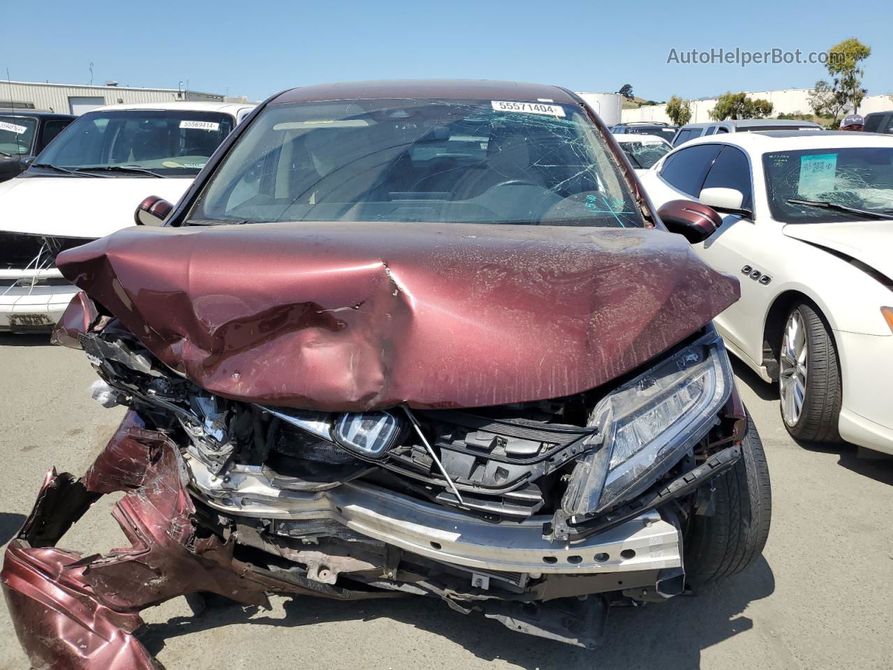 2019 Honda Odyssey Elite Burgundy vin: 5FNRL6H98KB107998