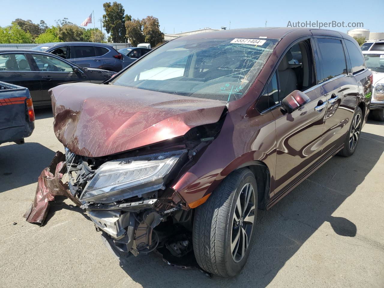 2019 Honda Odyssey Elite Burgundy vin: 5FNRL6H98KB107998