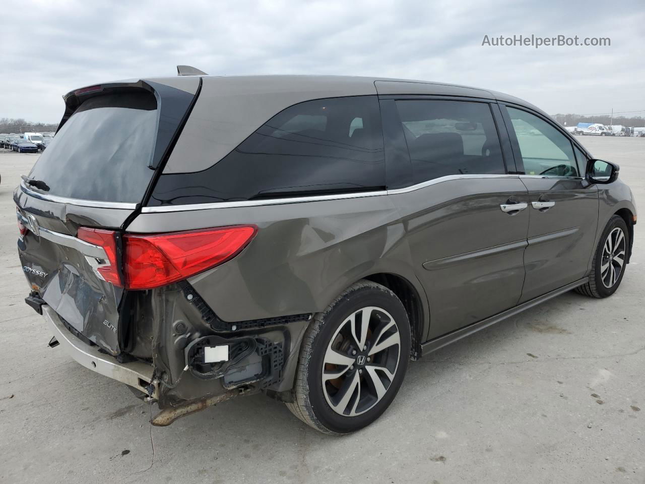 2019 Honda Odyssey Elite Tan vin: 5FNRL6H99KB039159