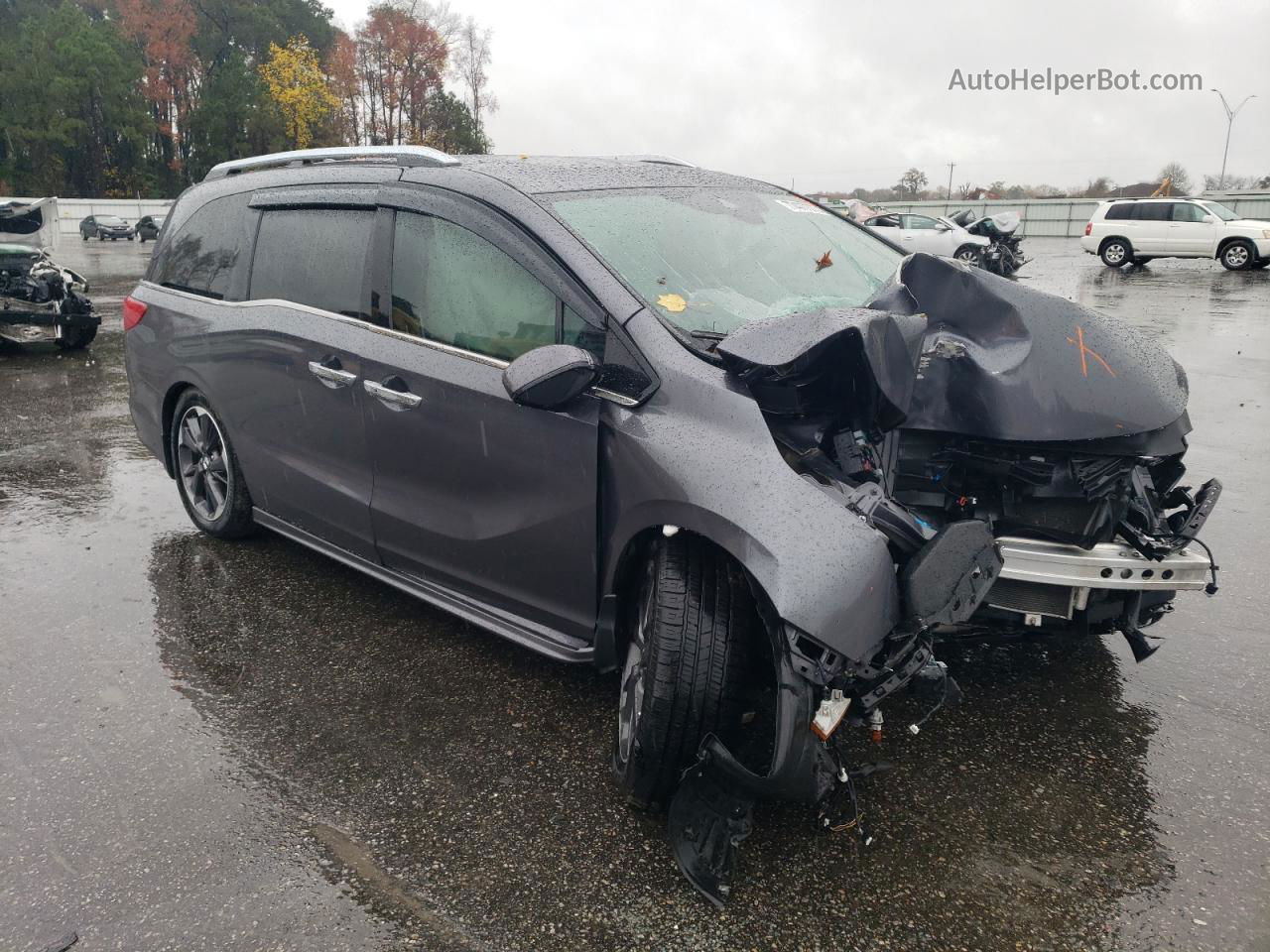 2021 Honda Odyssey Elite Gray vin: 5FNRL6H99MB004186